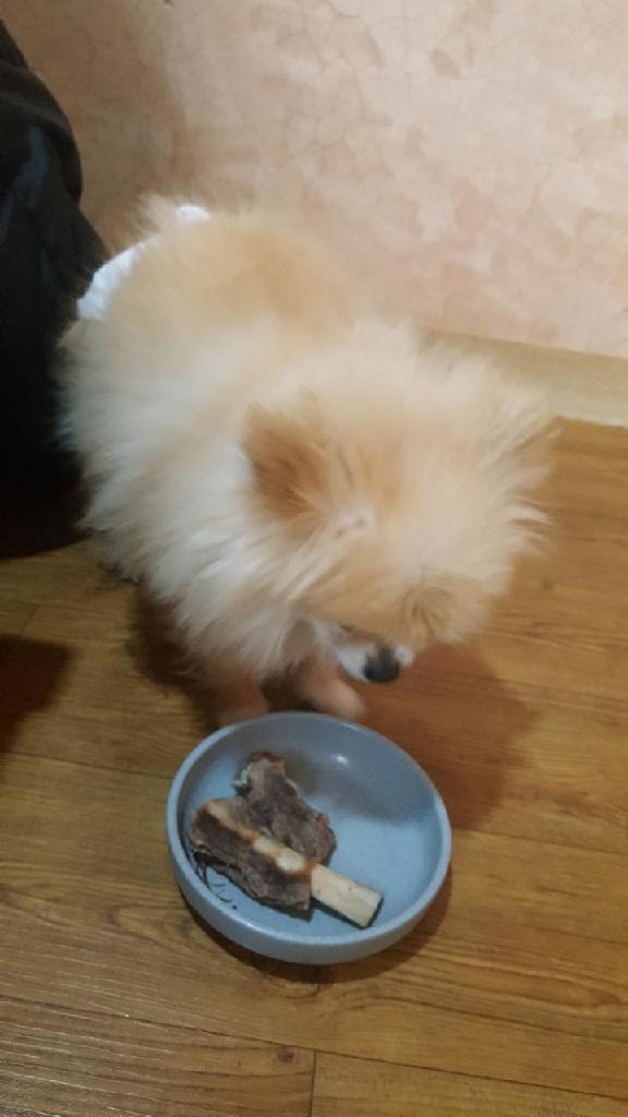 광진이 소식 세달째~
