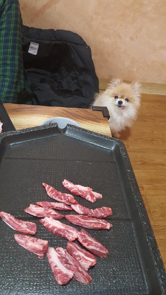 광진이 소식 세달째~