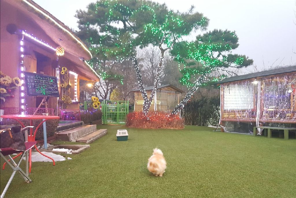 광진이 소식 세달째~