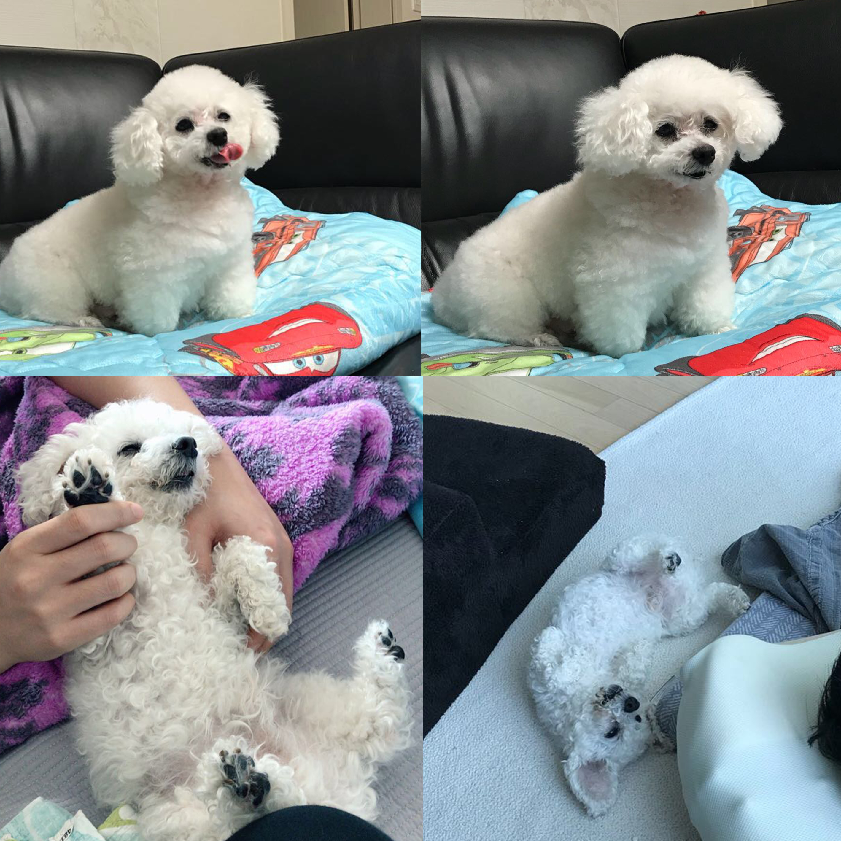 백이 많이 기다리셨죠?