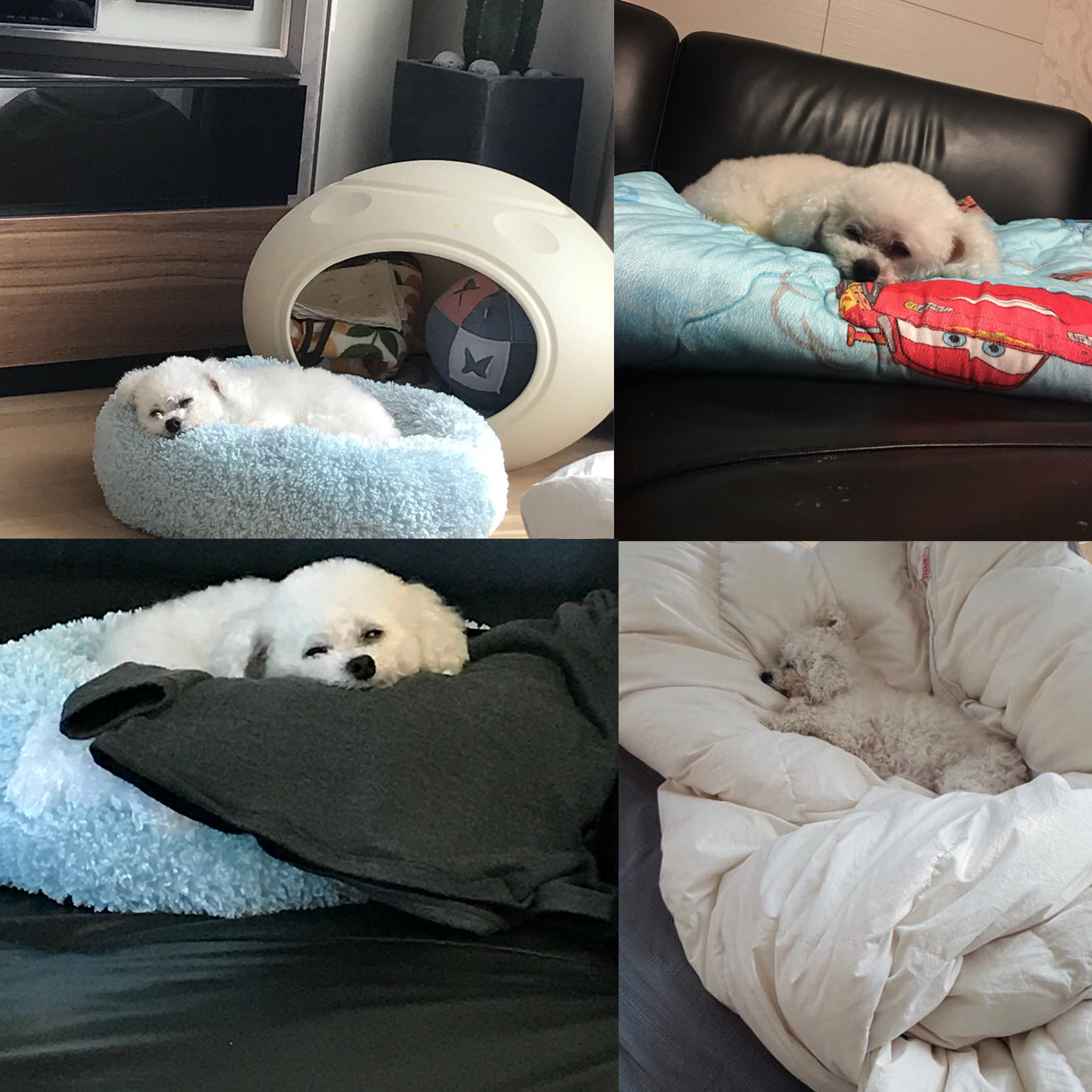 백이 많이 기다리셨죠?