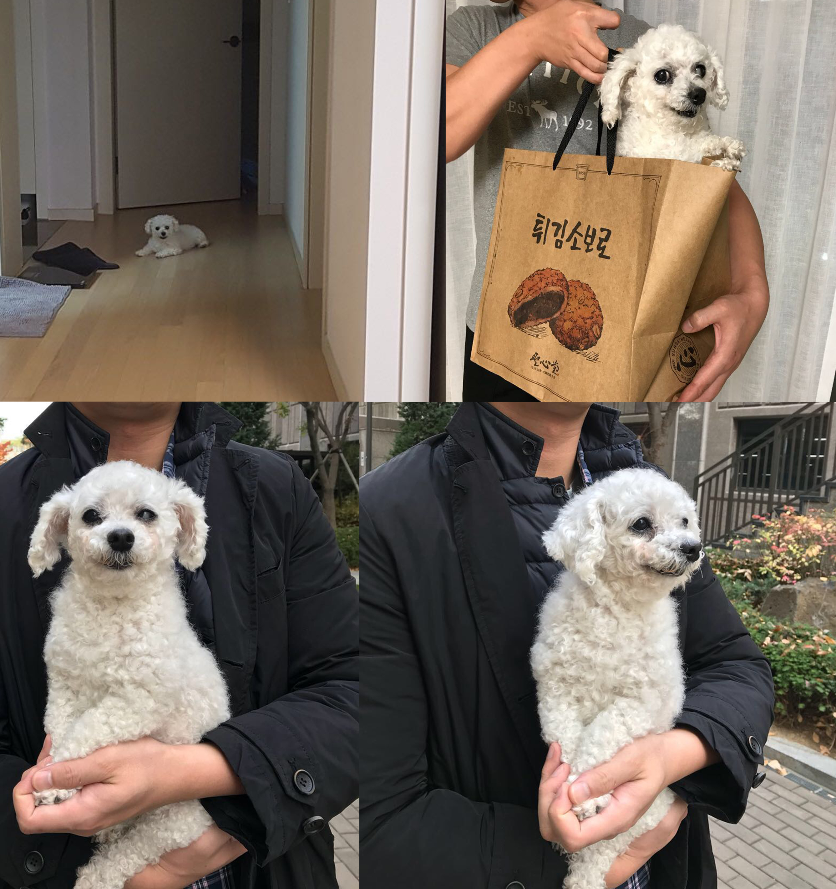 백이 많이 기다리셨죠?
