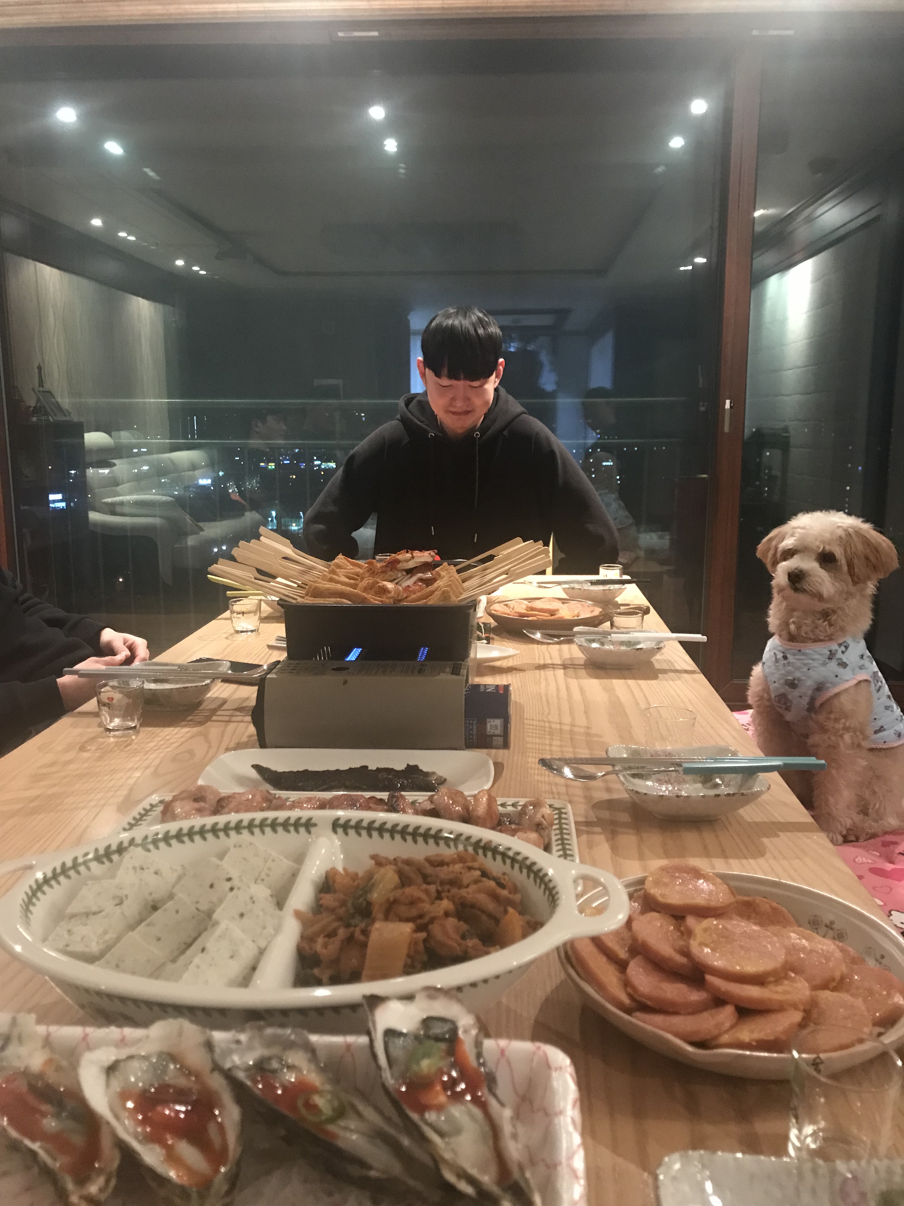 행복이(똘이) 6개월 후기에요