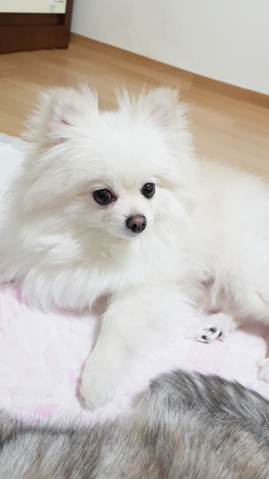 날이 갈수록 미모 발산 곤지에요^^