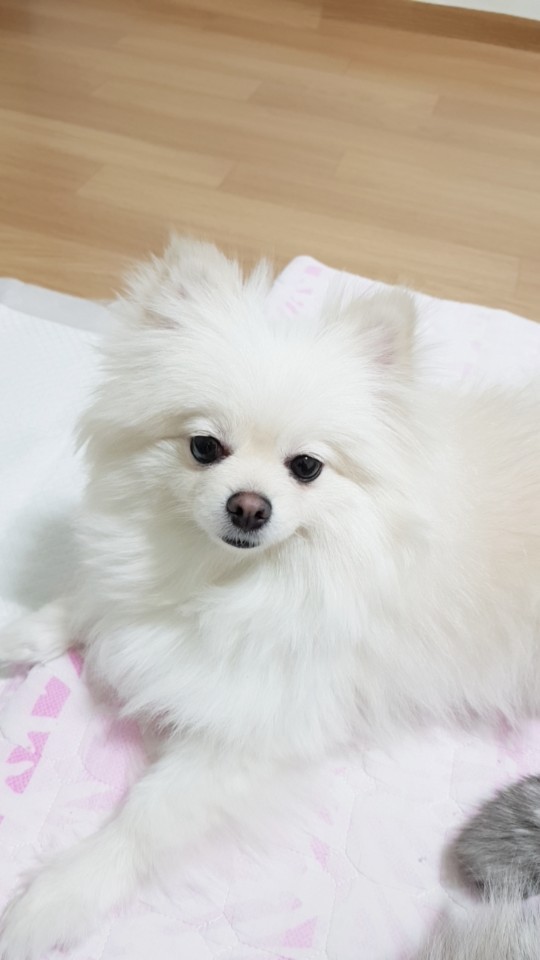 날이 갈수록 미모 발산 곤지에요^^