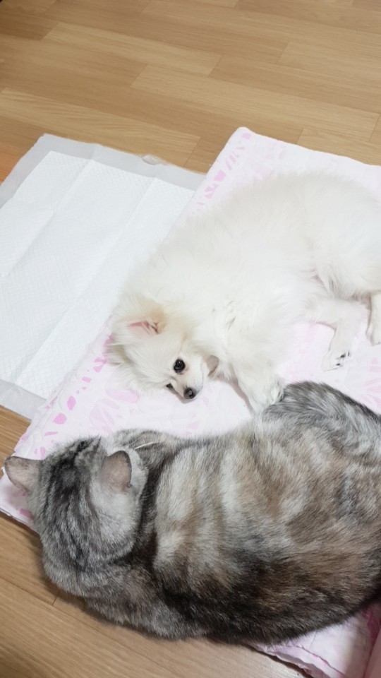 날이 갈수록 미모 발산 곤지에요^^