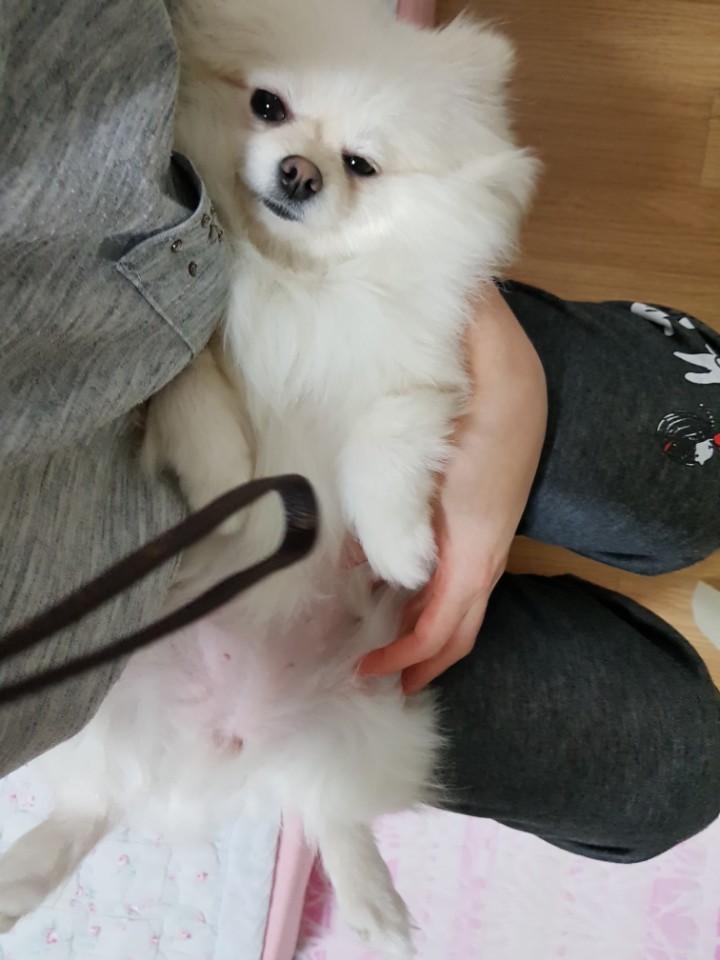 날이 갈수록 미모 발산 곤지에요^^