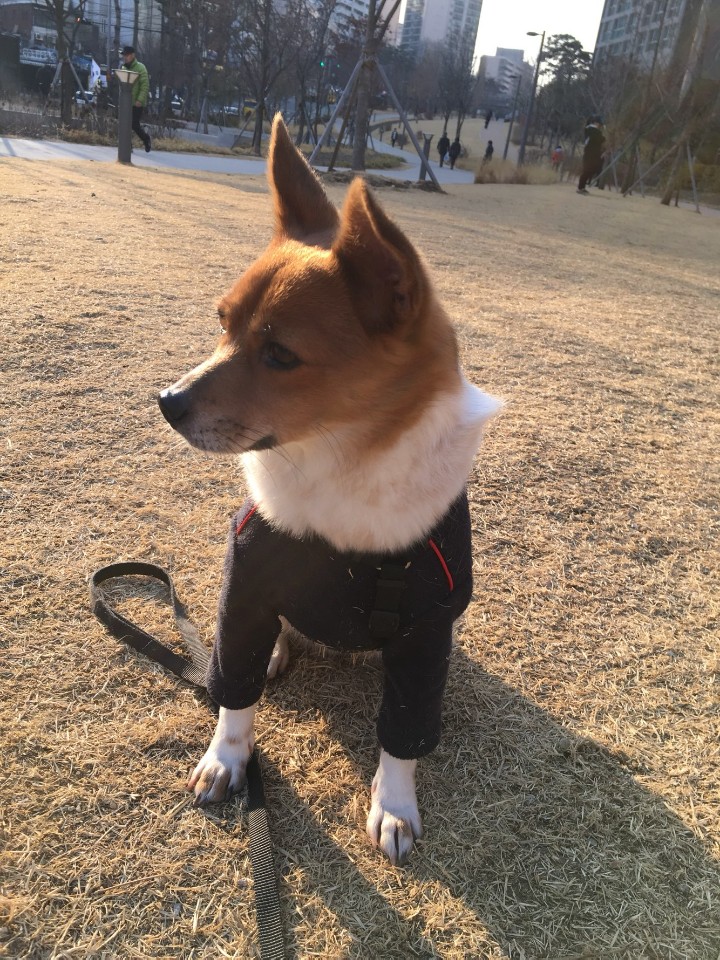 "하이"는 너무 밝고 신나고 이뻐졌어요!