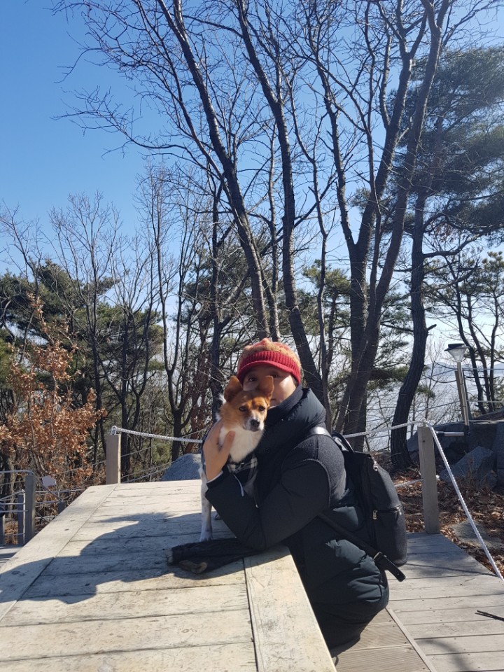 "하이"는 너무 밝고 신나고 이뻐졌어요!