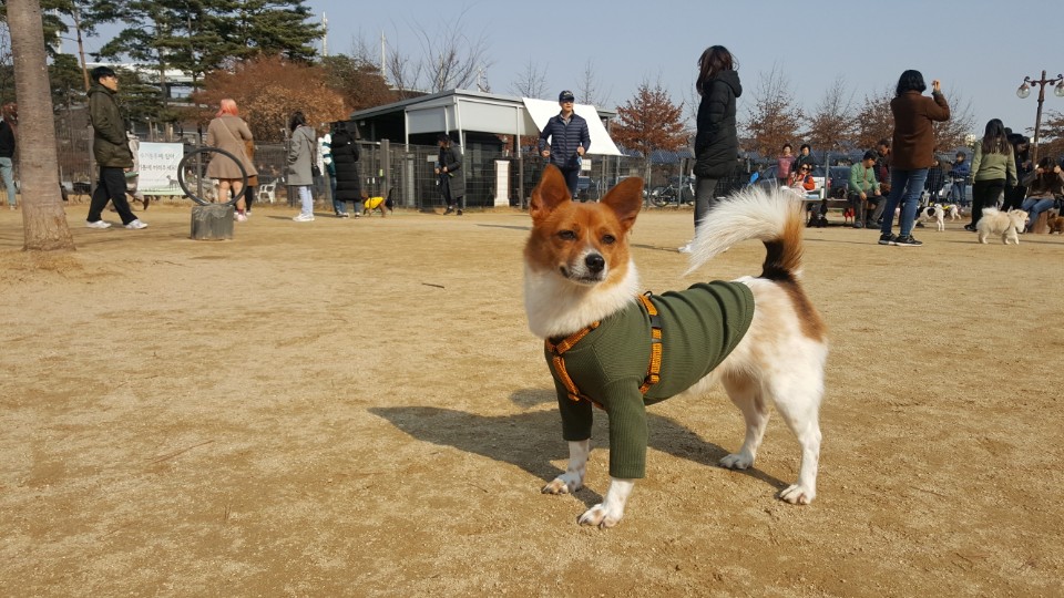 "하이"는 너무 밝고 신나고 이뻐졌어요!