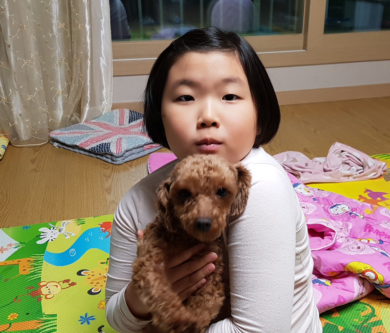 천안으로 입양온 앵그리 '사랑이'입양후기 
