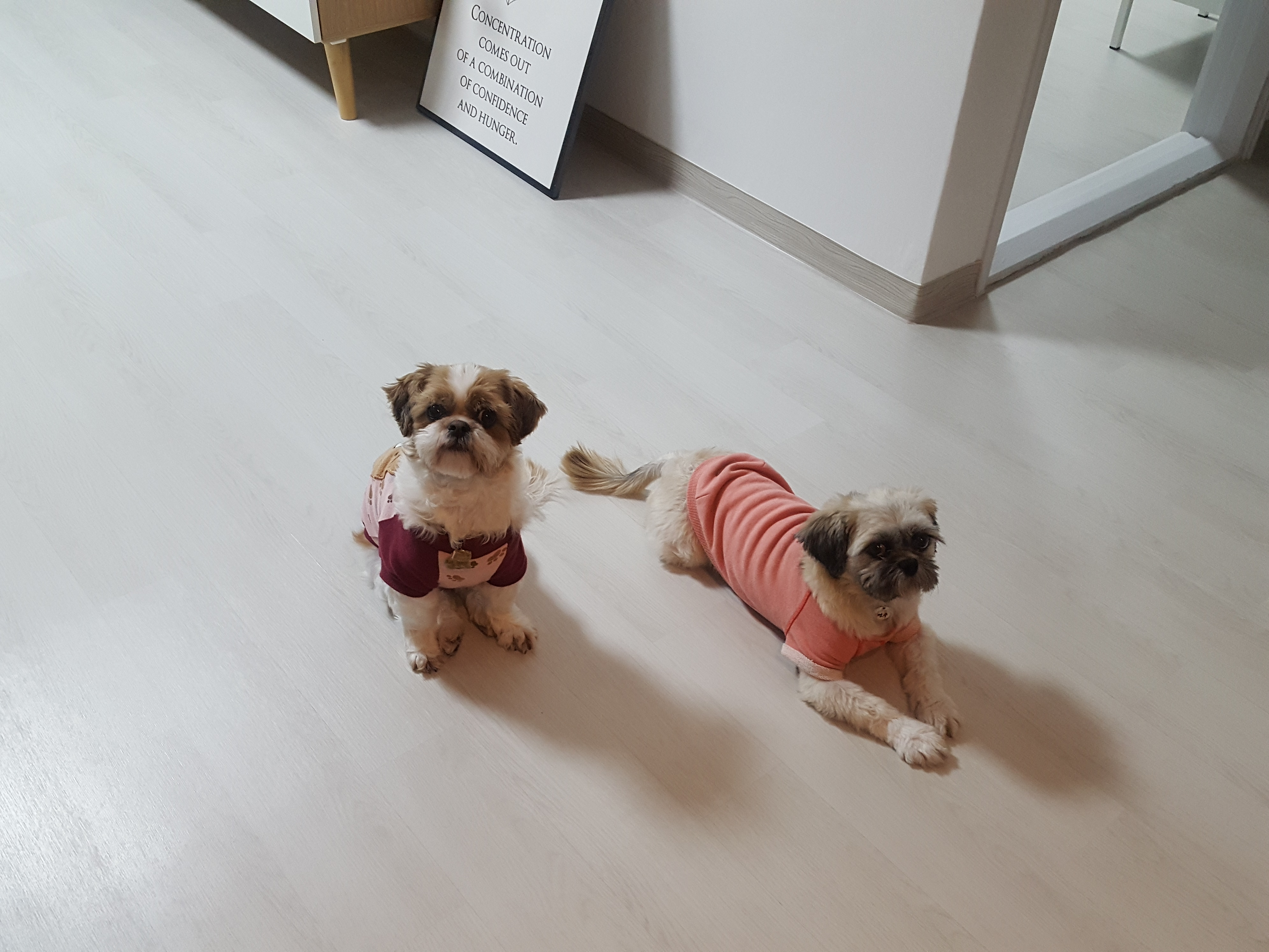 이아이가 주는 행복