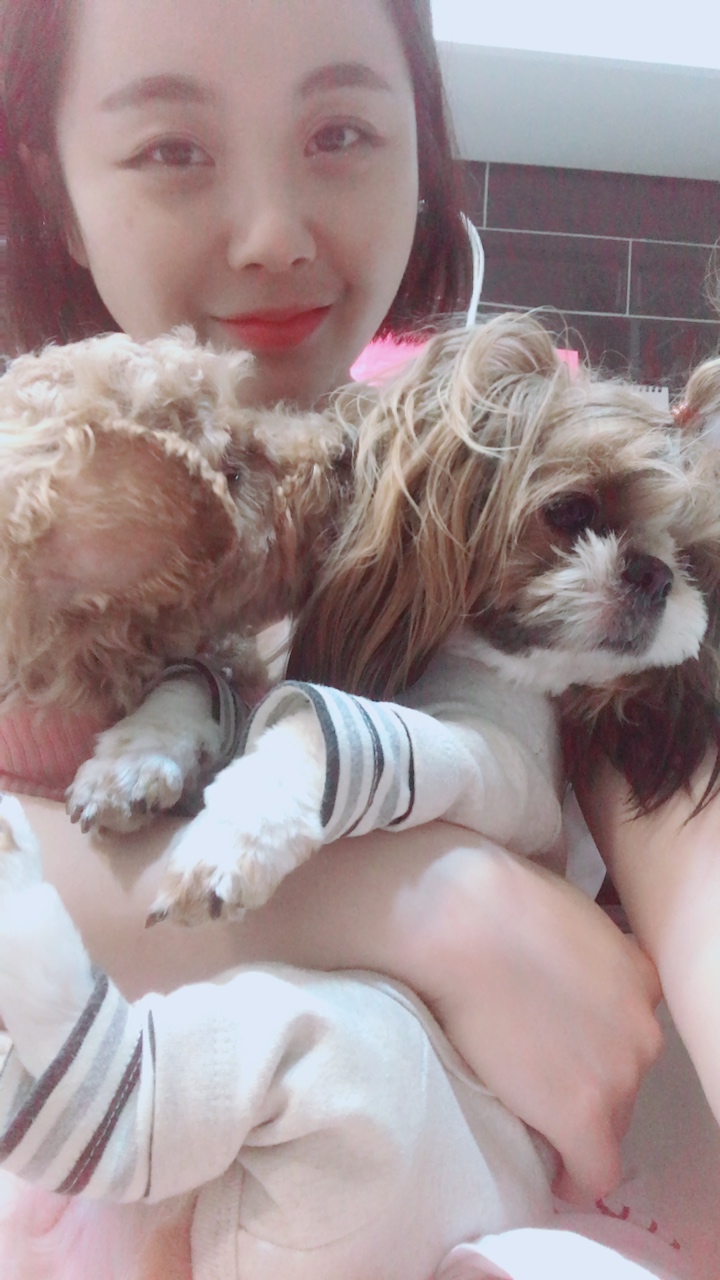 시흥 종견장 화재현장에서 구조된 하나(푸들)입양후기 올립니다^^