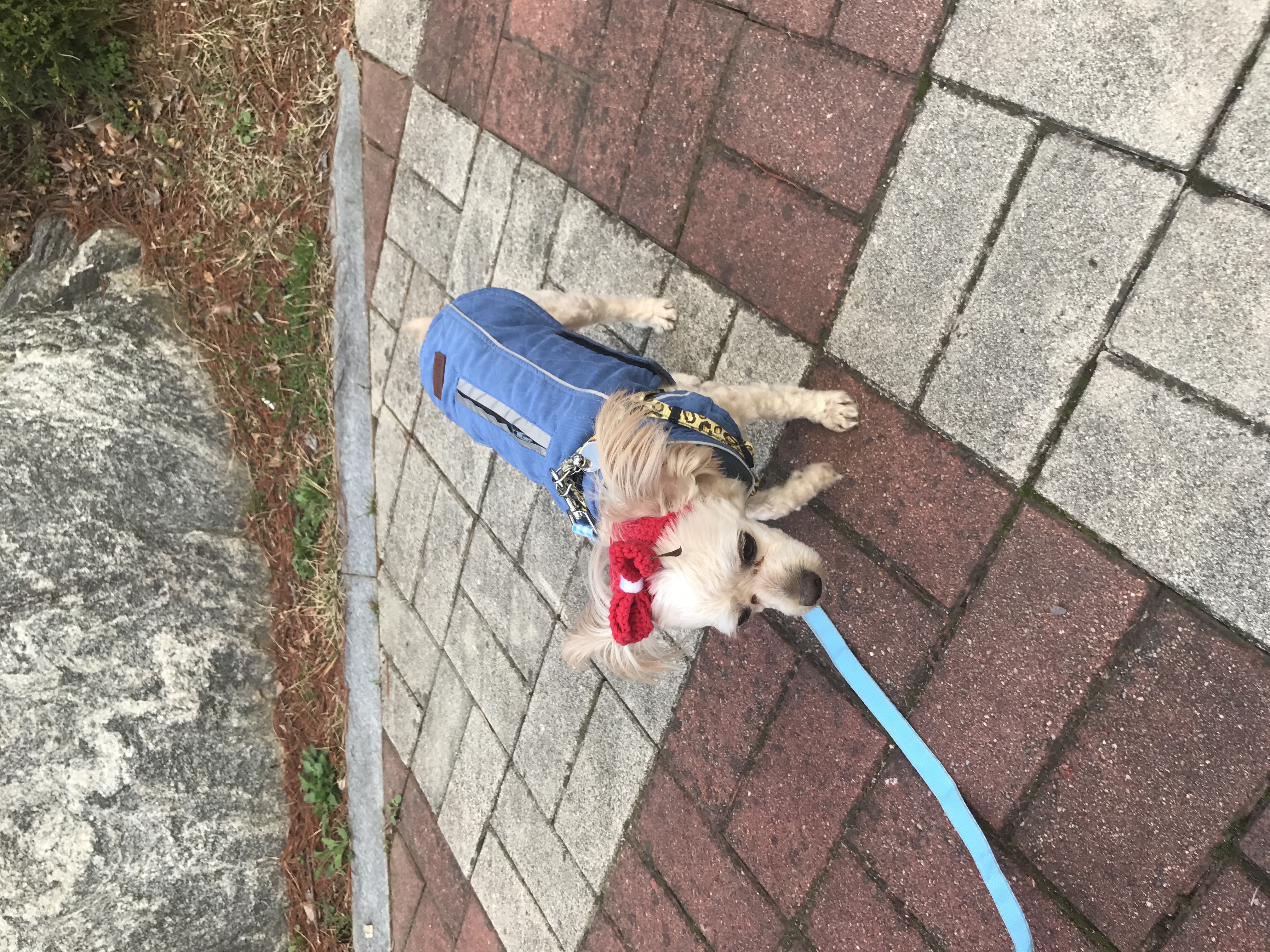 기장요다후기