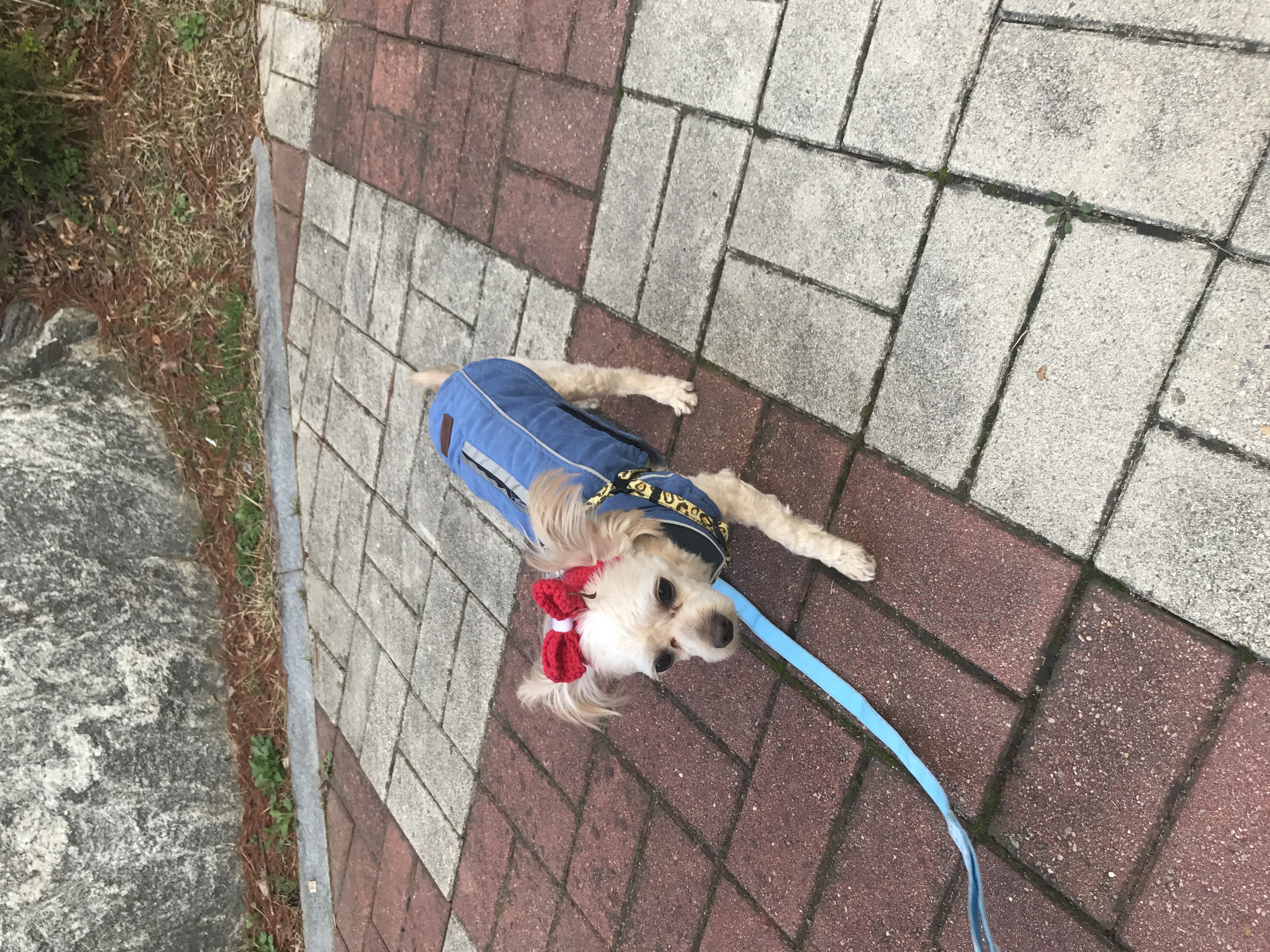 기장요다후기