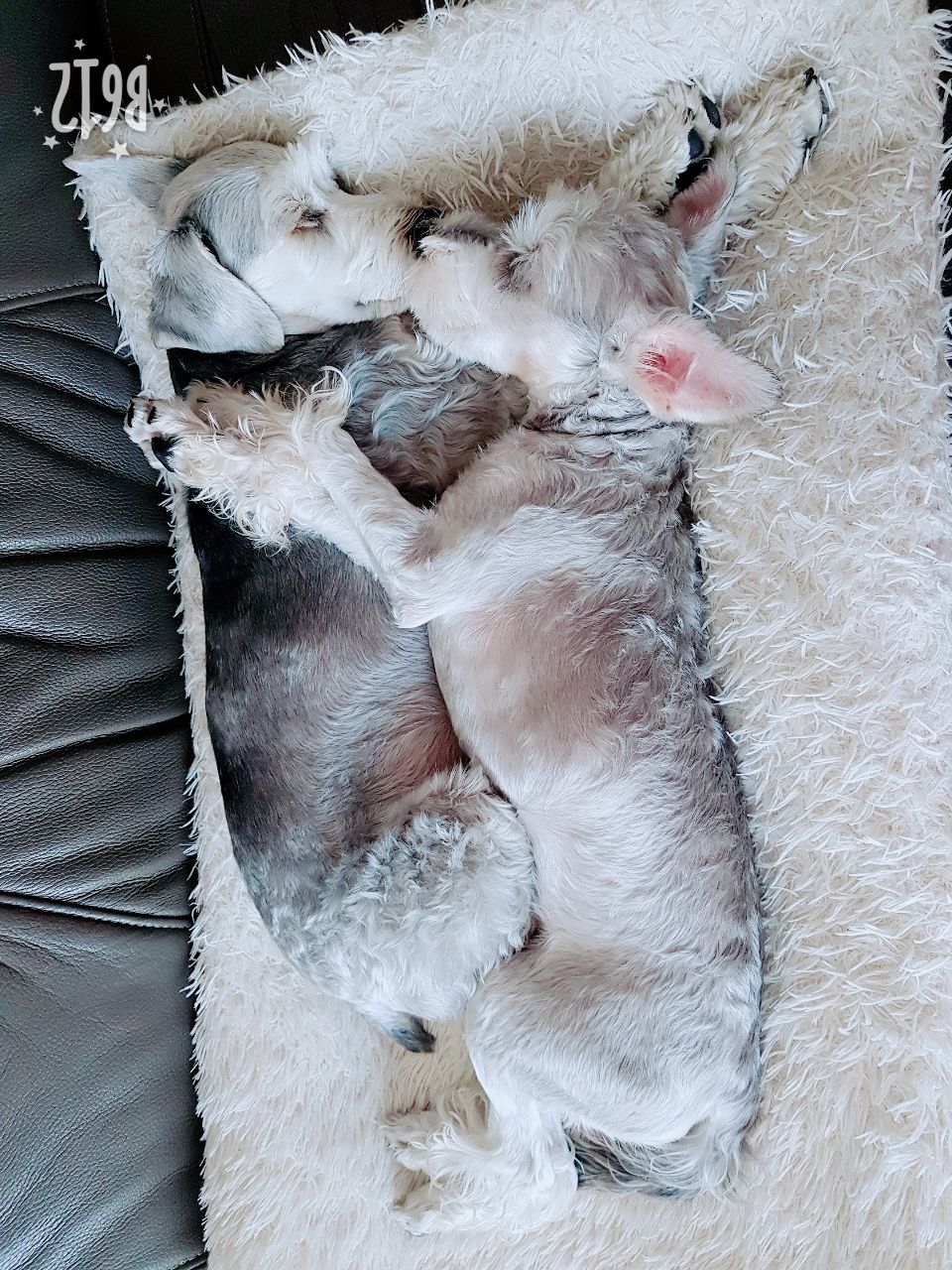 하트(민국이) 소식이요
