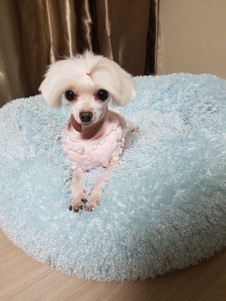 우리의 여섯번째 이야기^^