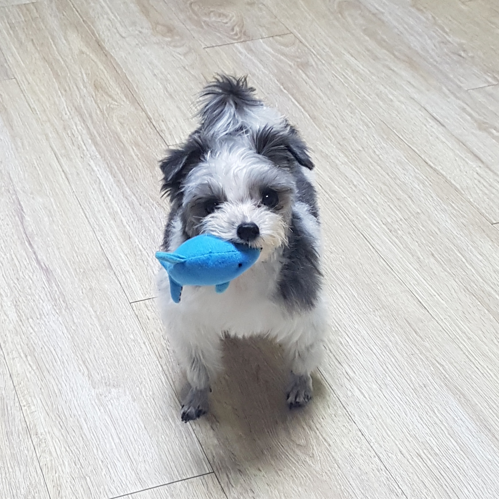 동구동구동구~~