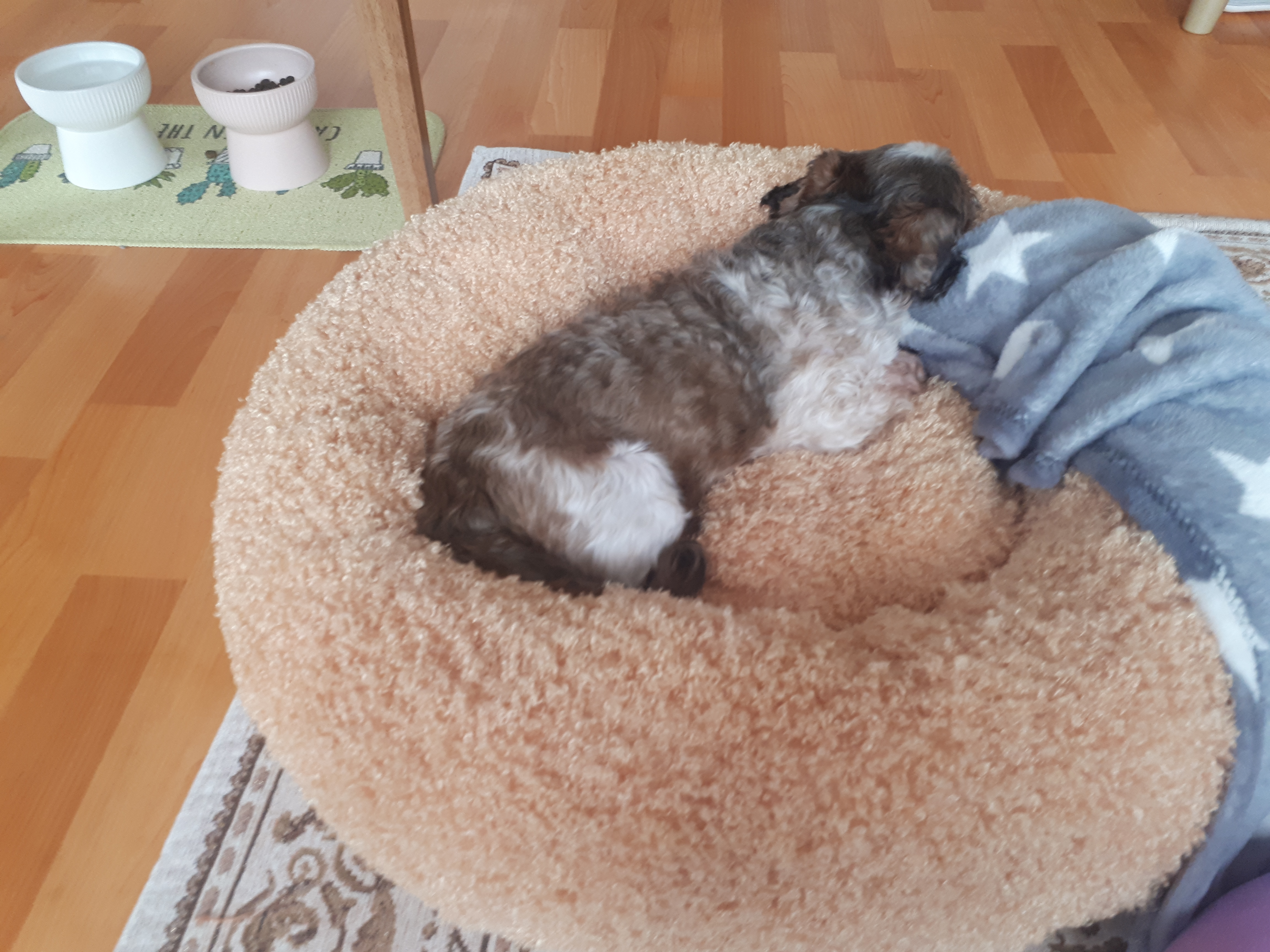 우리 두리안 첫소식입니다. ^^