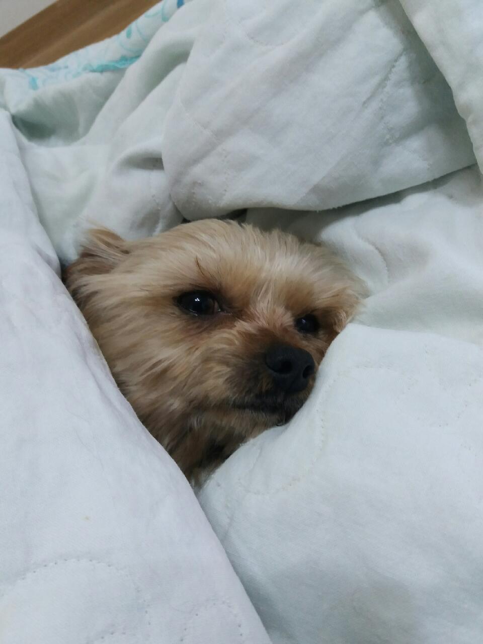 야금이 소식올려요~
