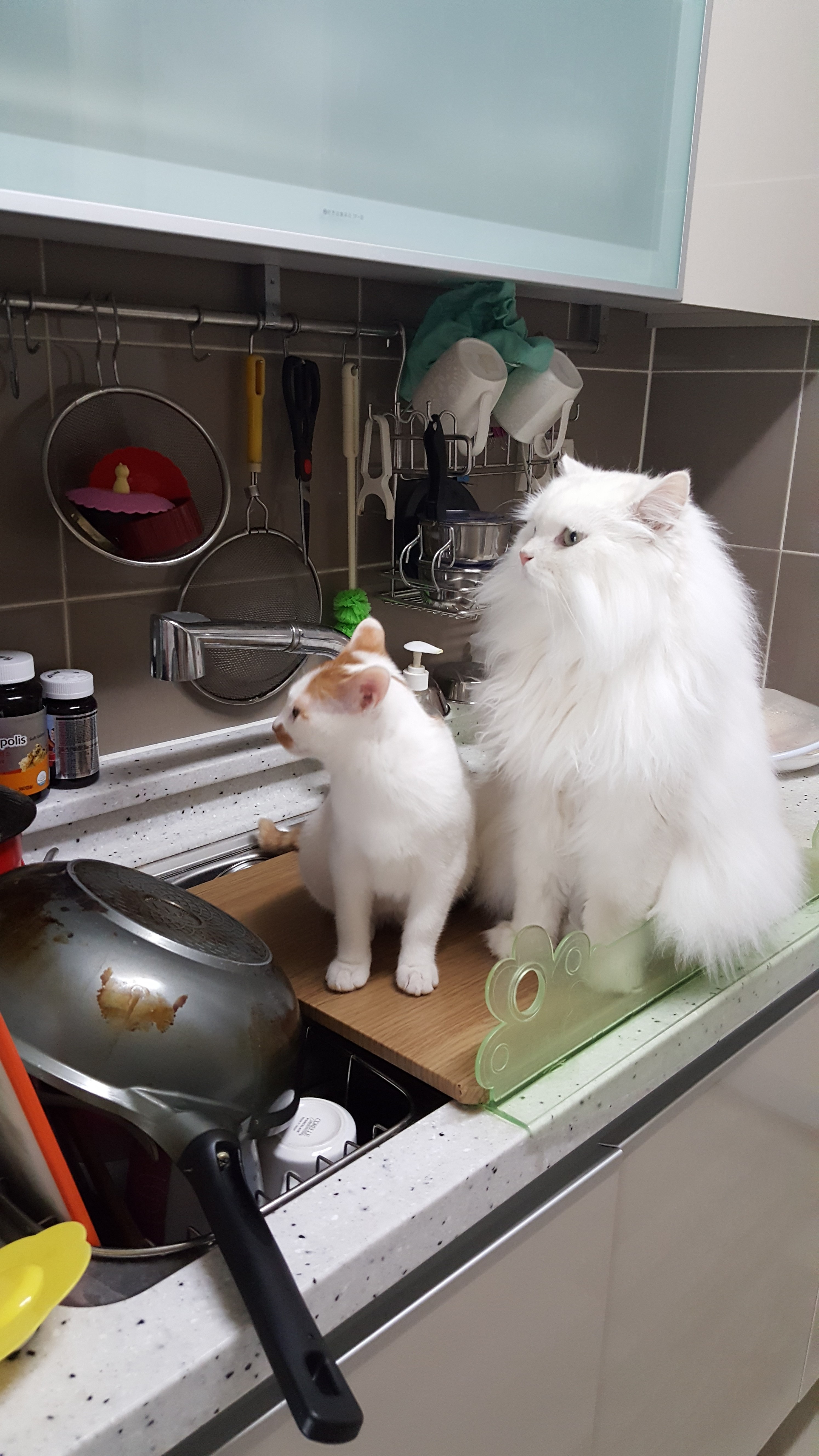 바로가 바르게되었어요