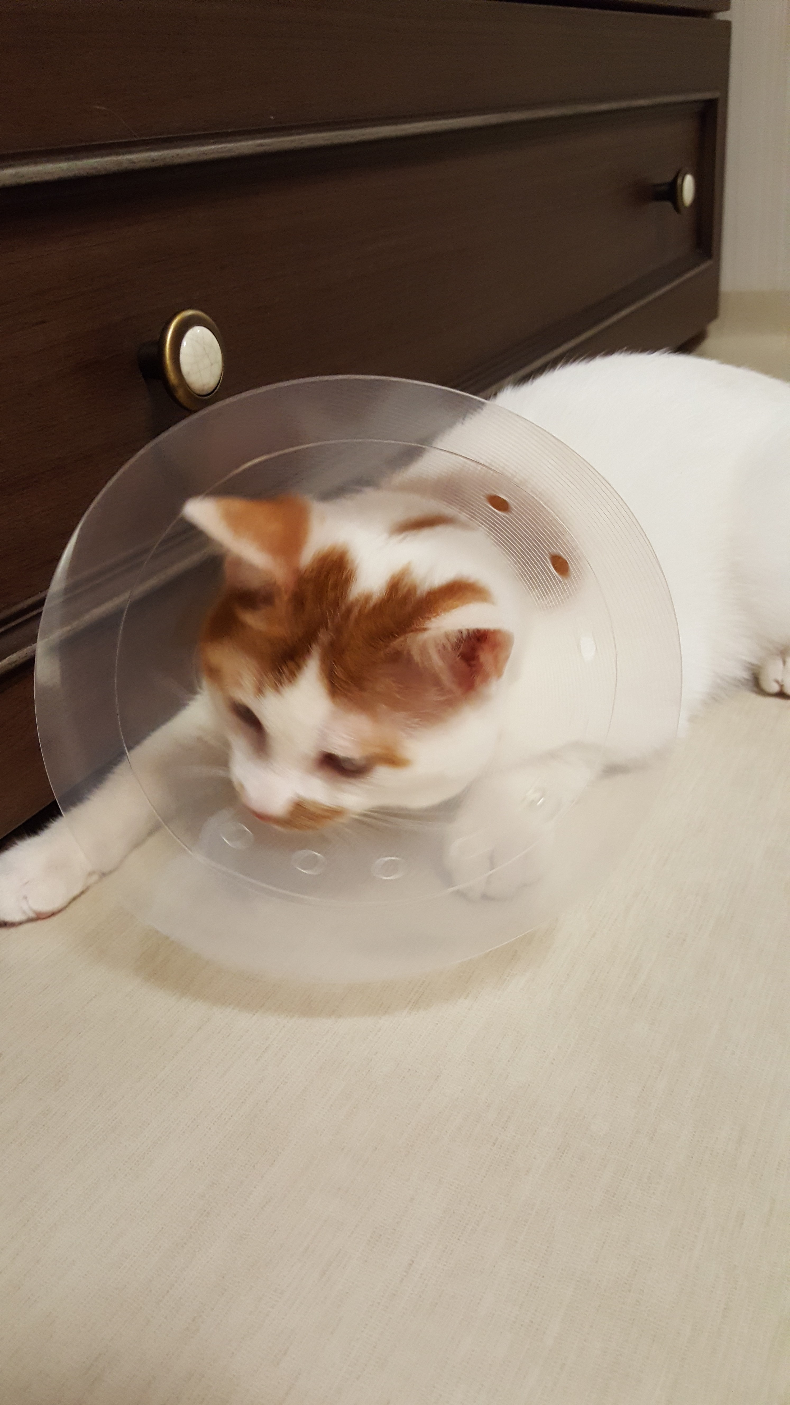 바로가 바르게되었어요
