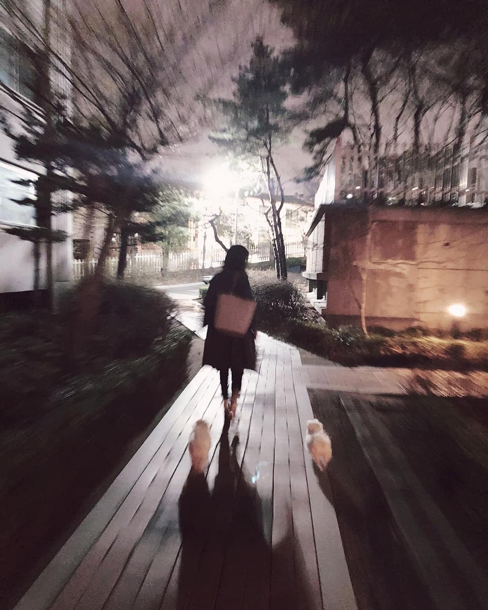 시흥 번식장에서 온 하리(경인) 임보 후기 전합니다.