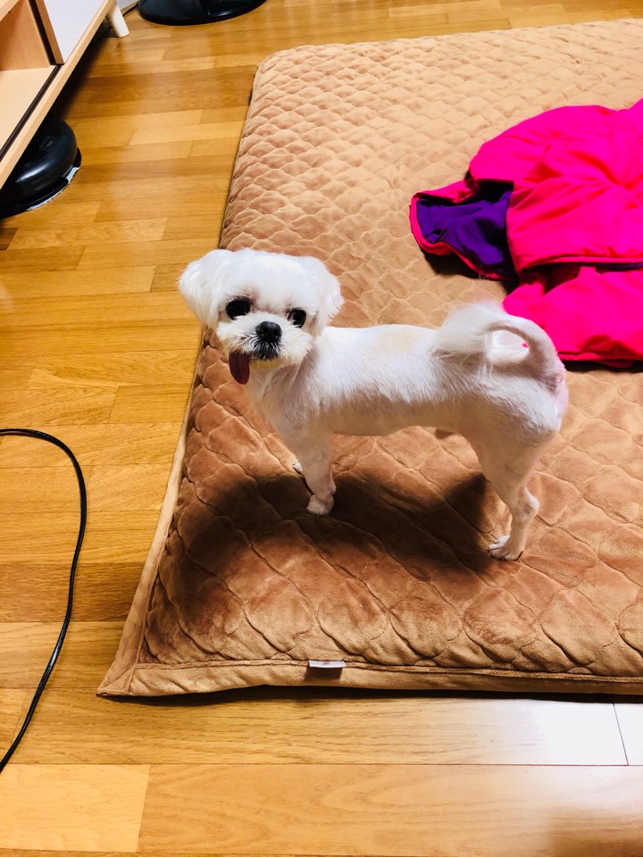 은동 라떼~