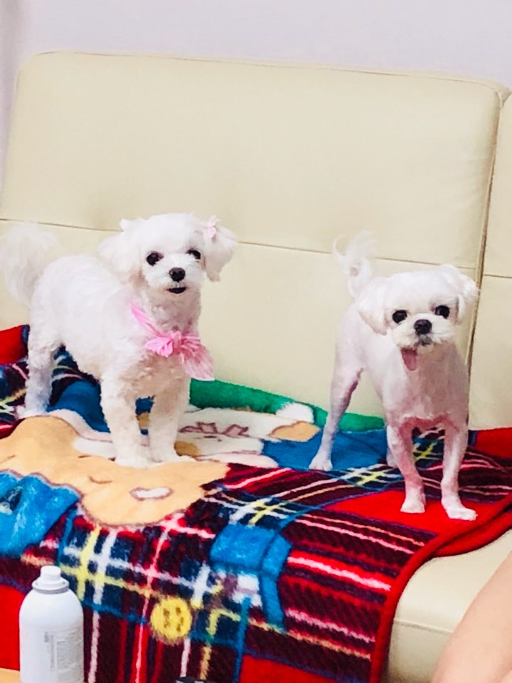은동 라떼~