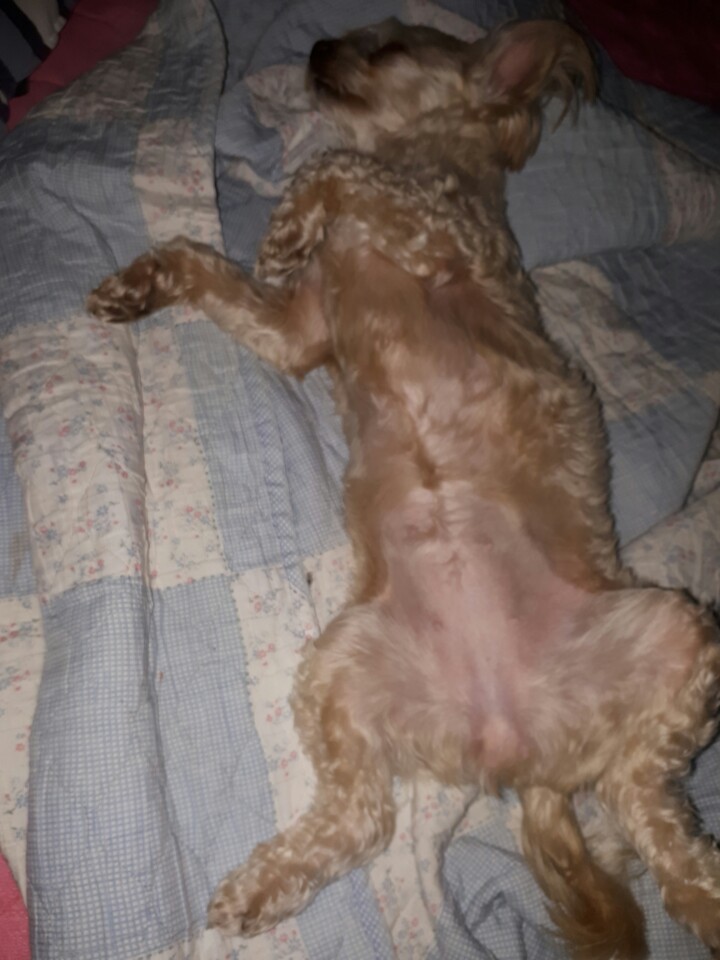기장요다후기