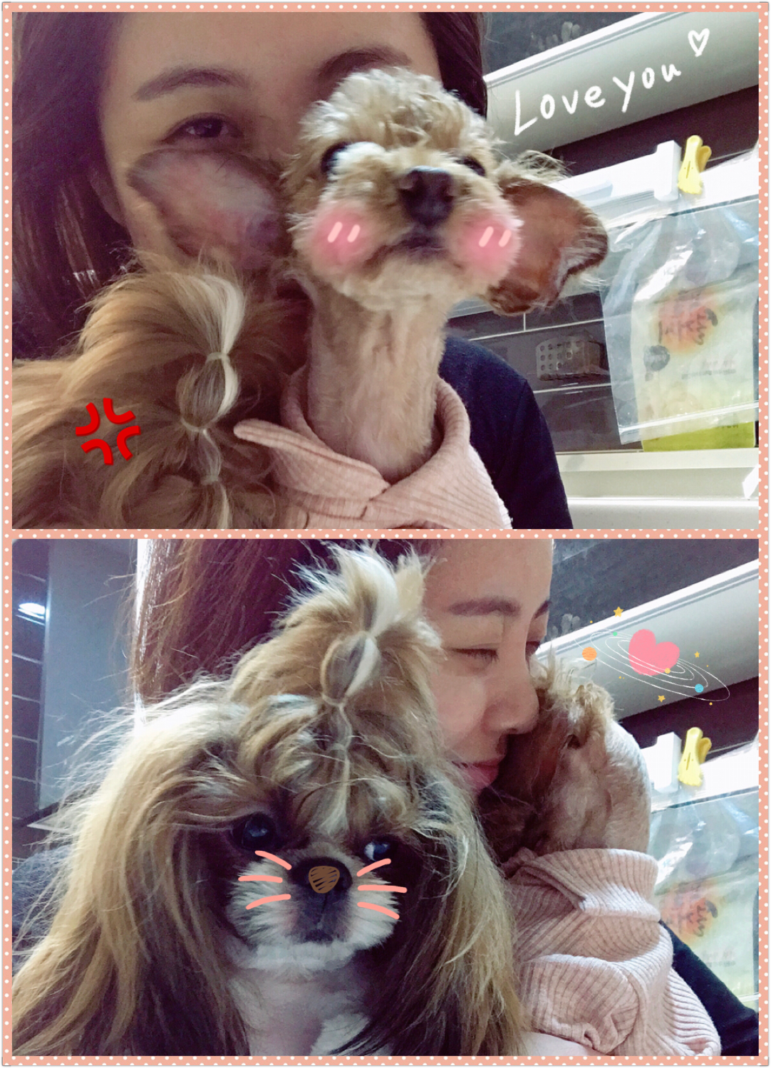 시흥에서 구조된 하나(하리)입양 한달 후기 올립니다^^