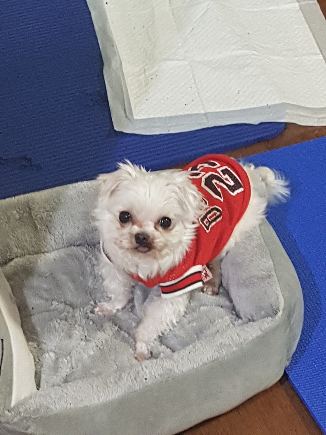 동동이 시나브로 적응 중입니다