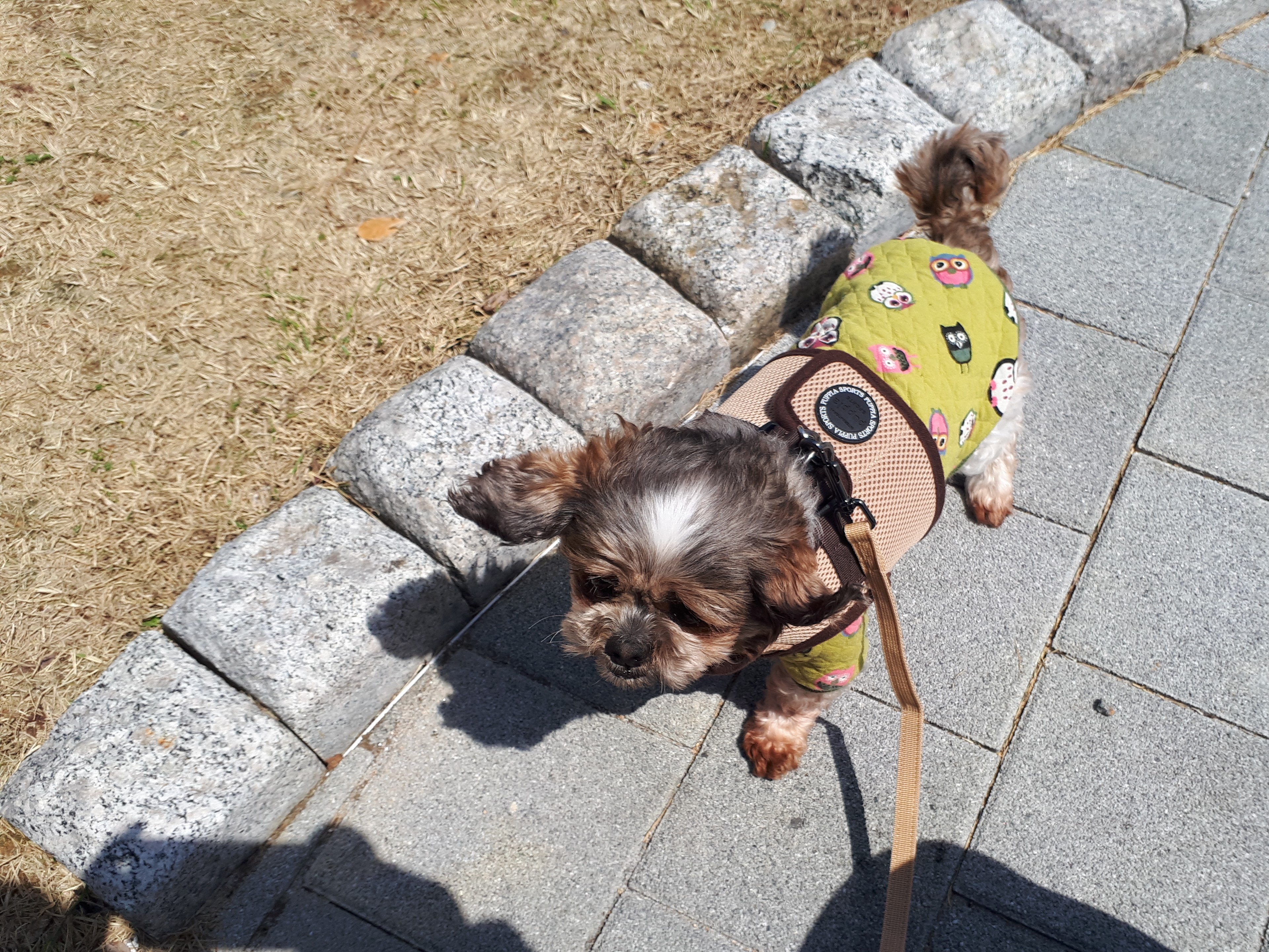 두리안 두번째 소식입니다. ^^