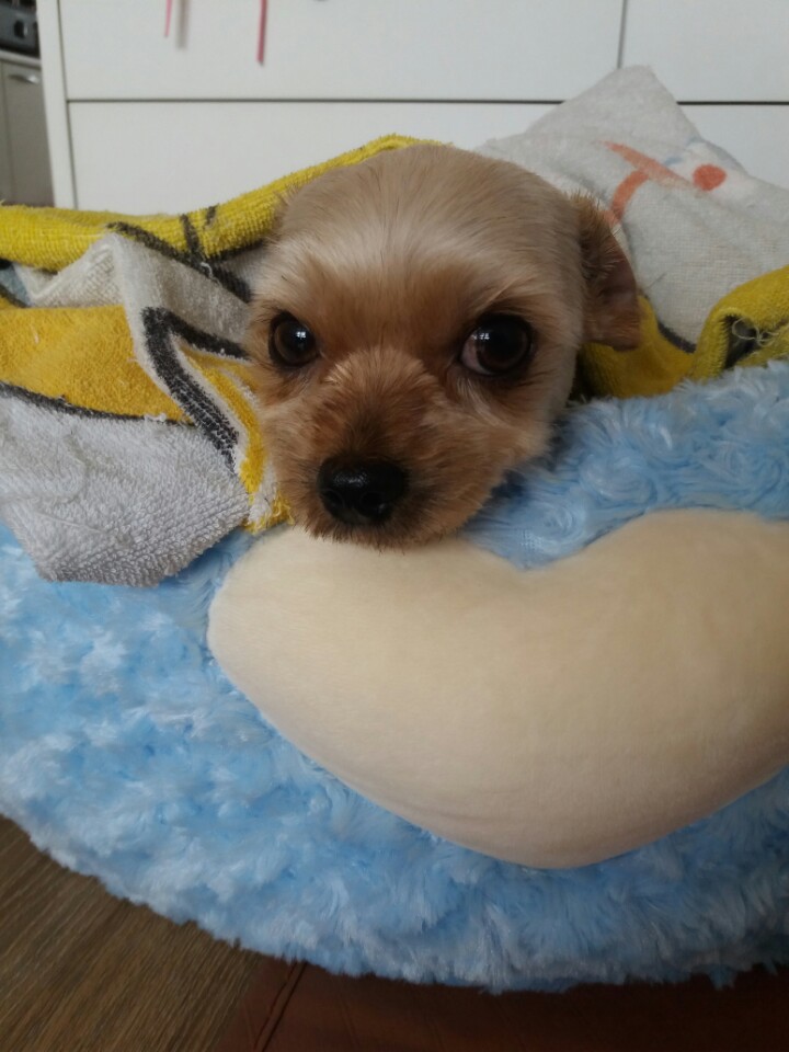 야금이가 와서 너무 행복합니다