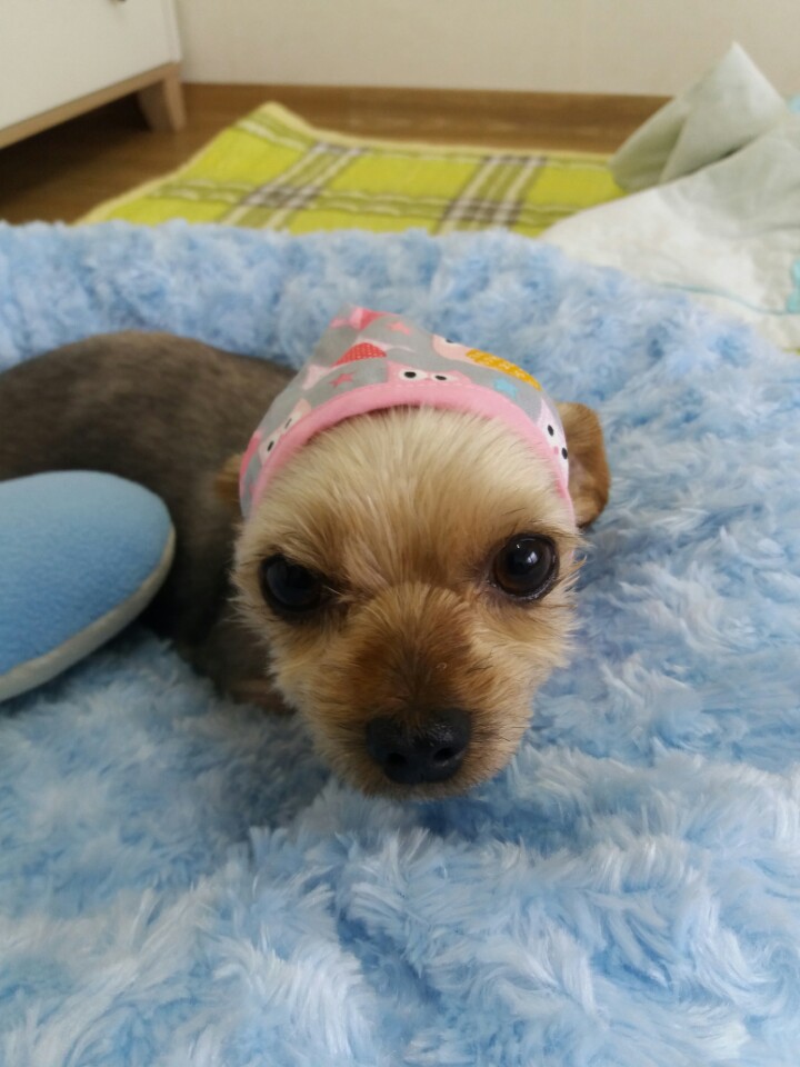 야금이가 와서 너무 행복합니다