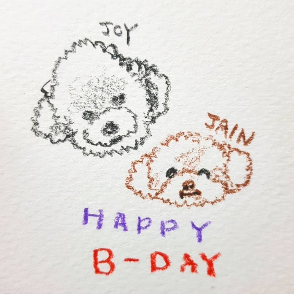 시흥불법번식장에서 구조된 제인이 근황입니다~(생일파티)