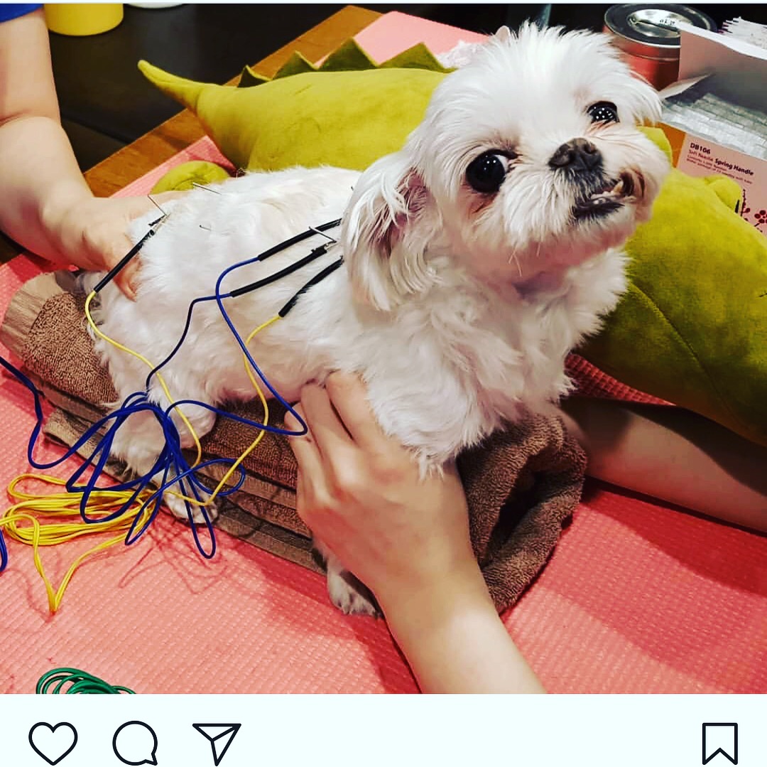 요다 아퍼요