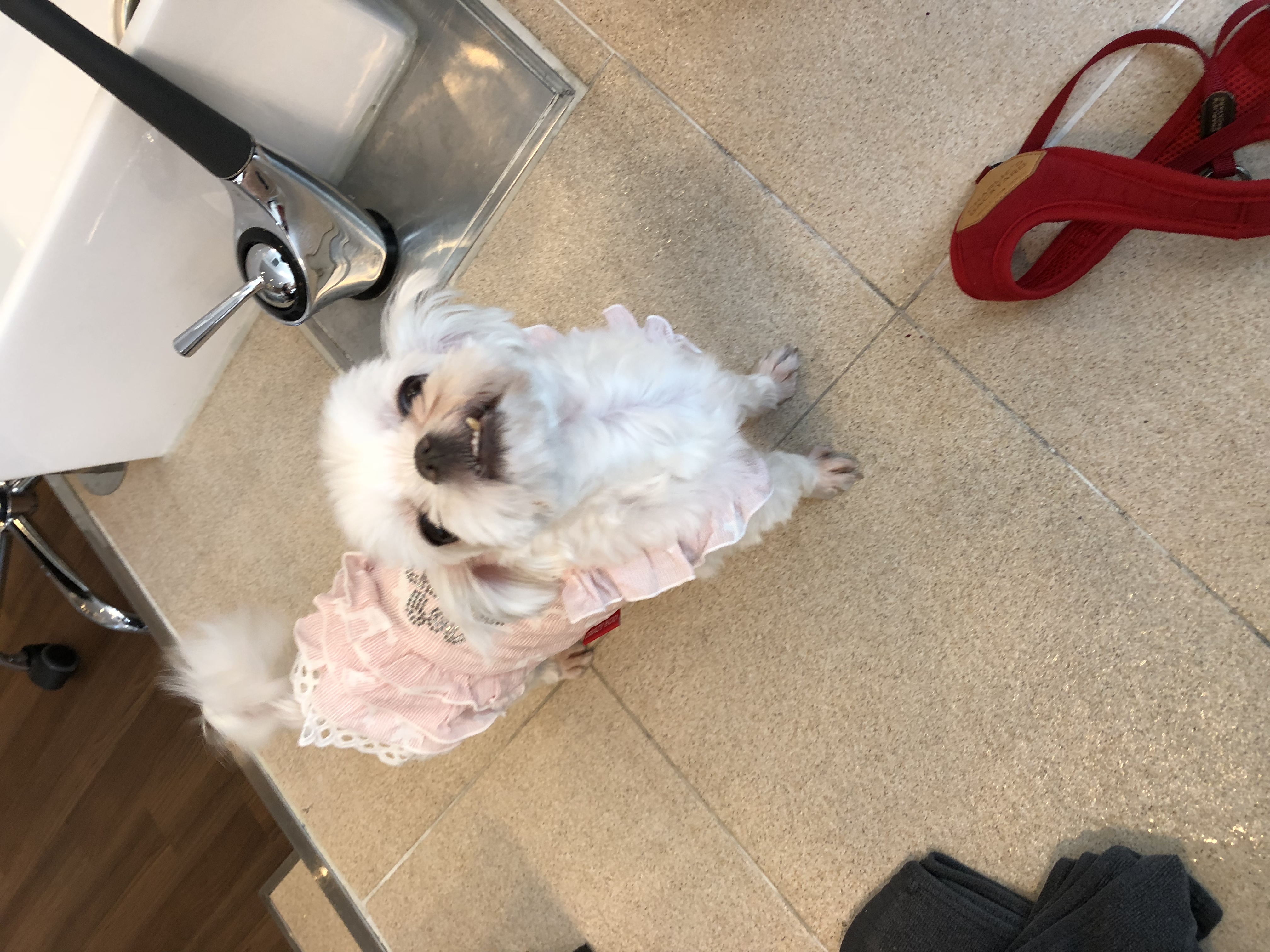 요다 아퍼요