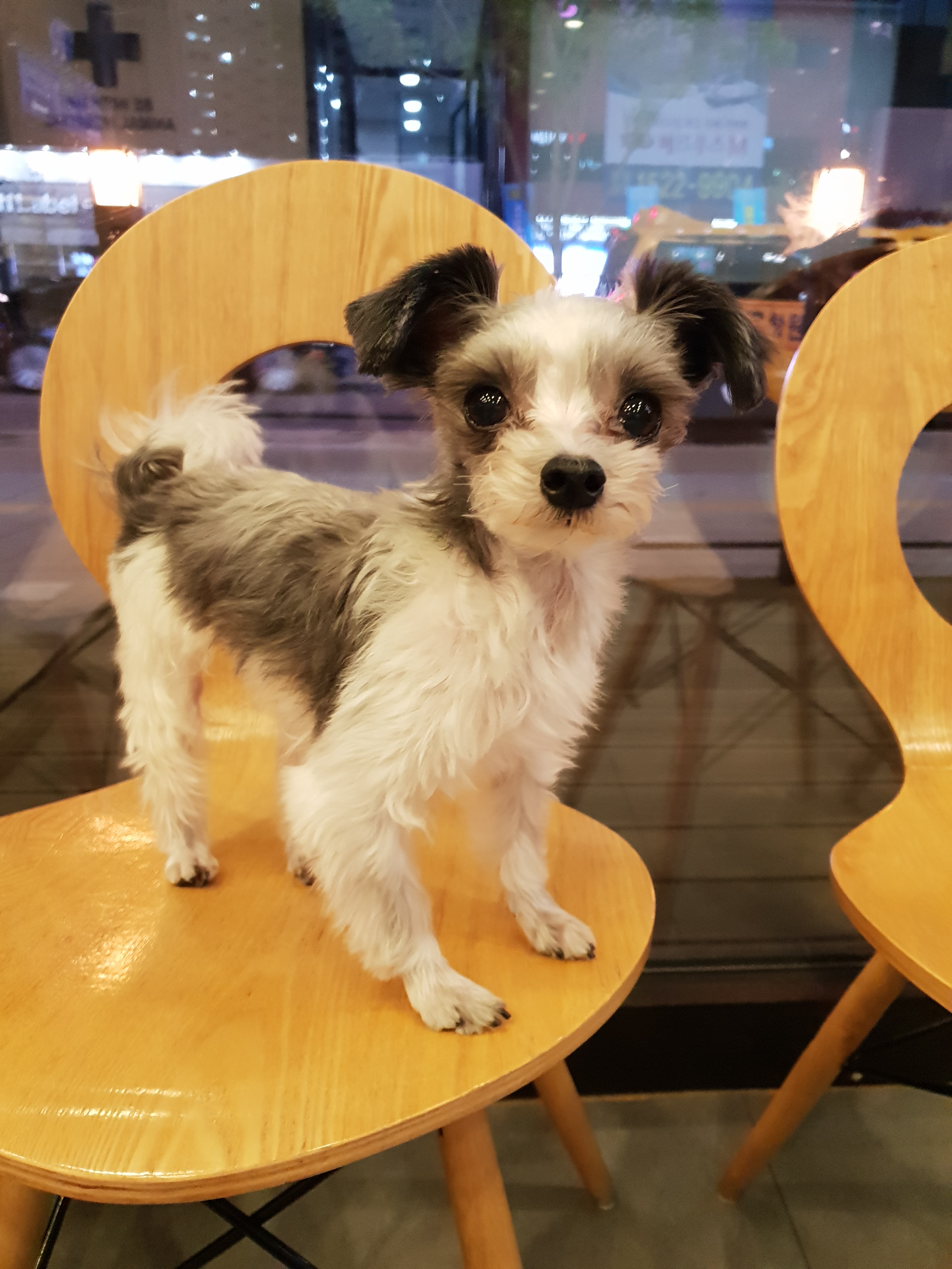동구엄마예요~
