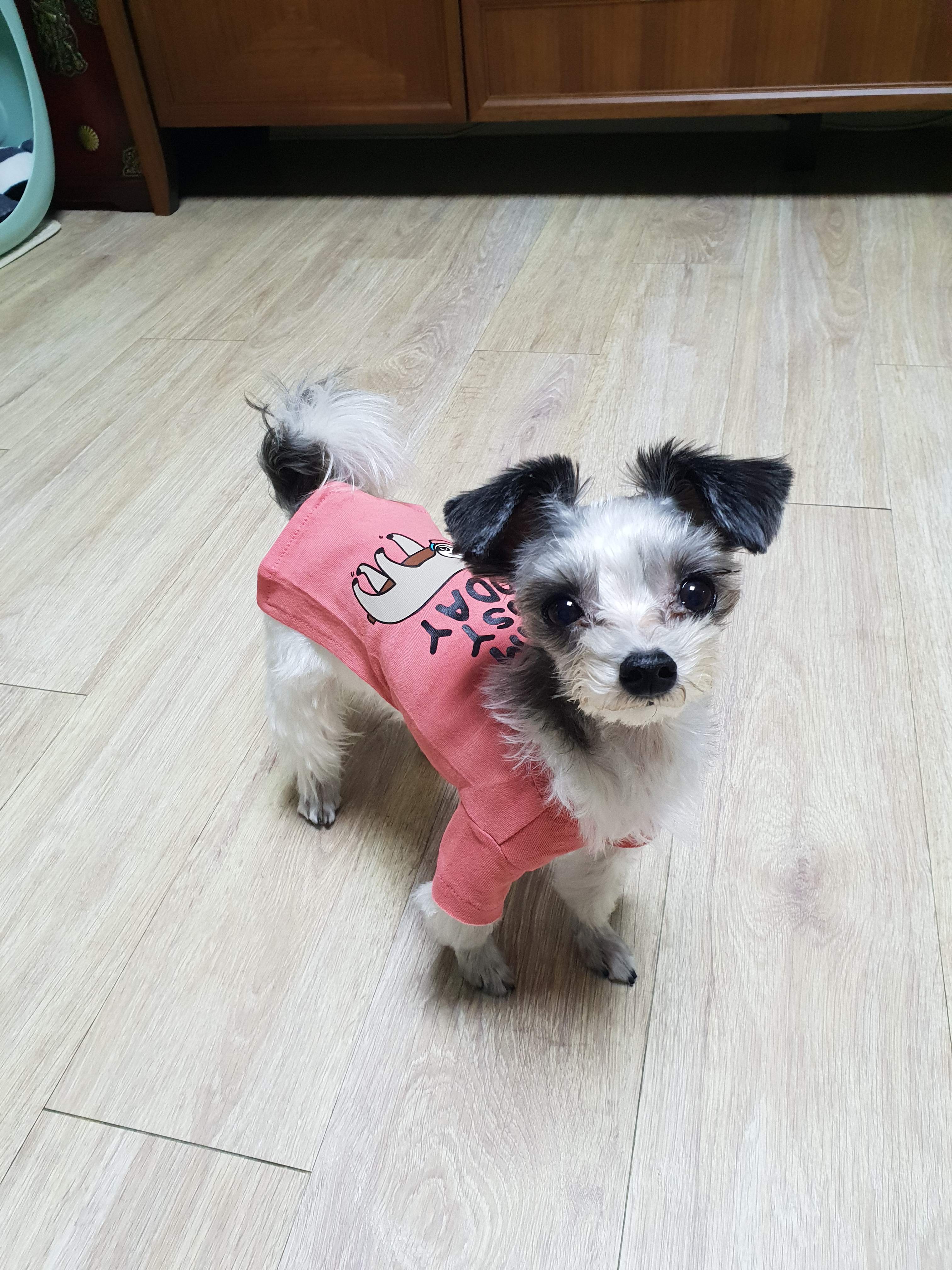 동구엄마예요~