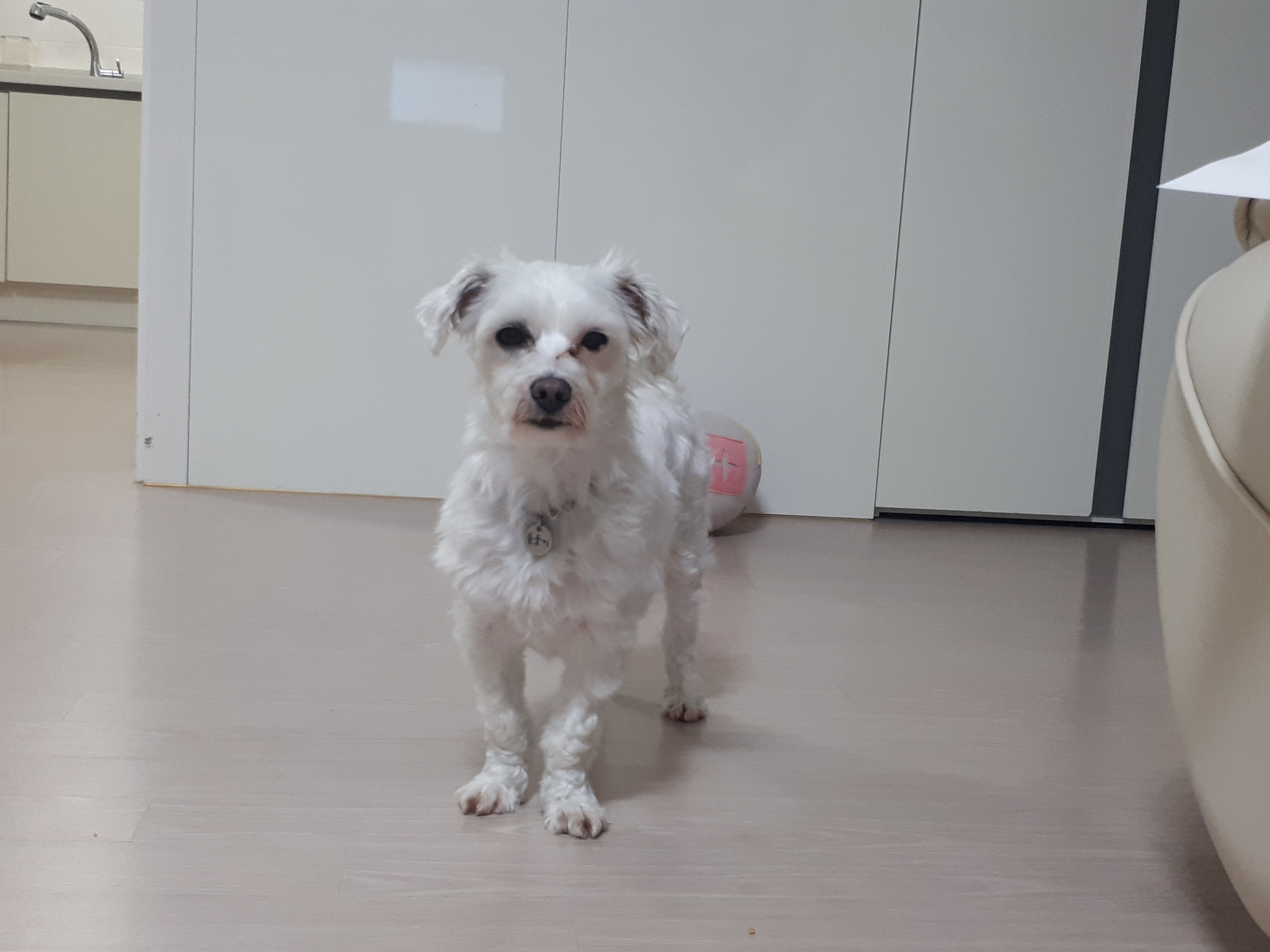 돌돌이와 함께 한 일주일~~