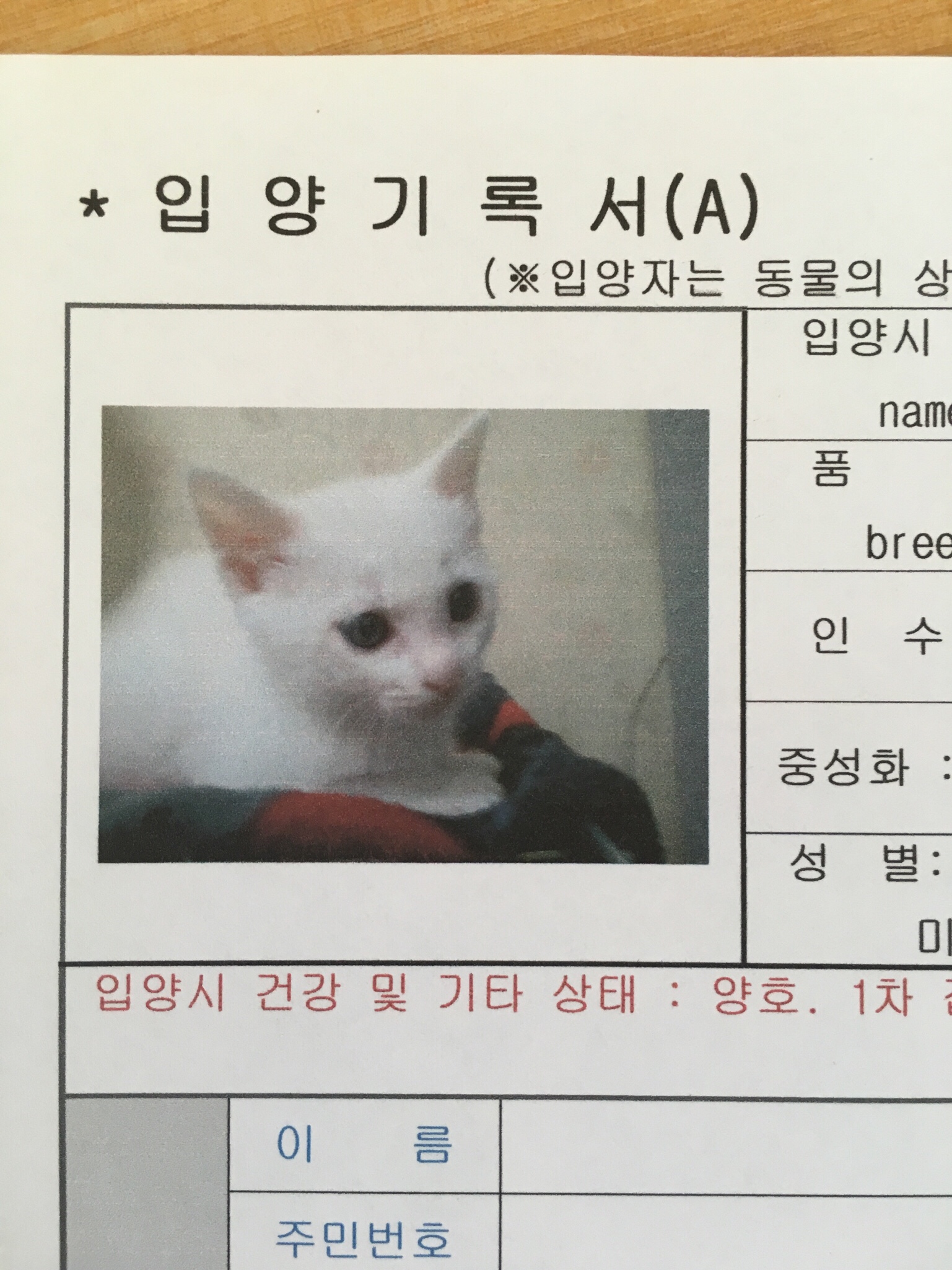 감자 근황올려요