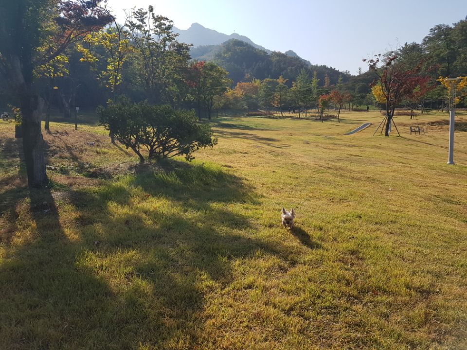테리도 인사왔습니다^^ 