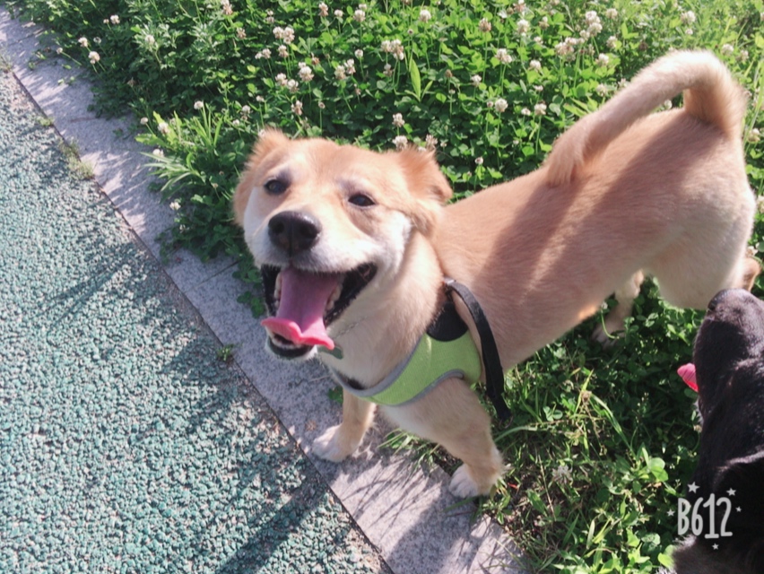행복한 금까~