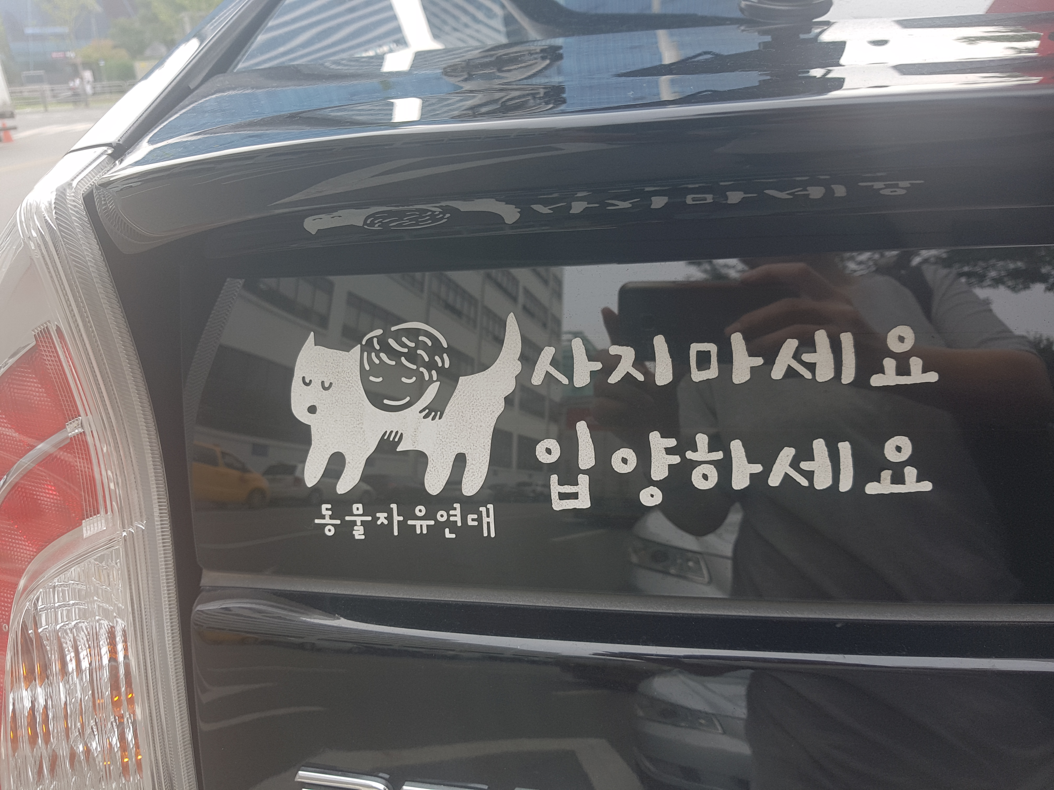 저희 아이들입니다. 인사드립니다. 