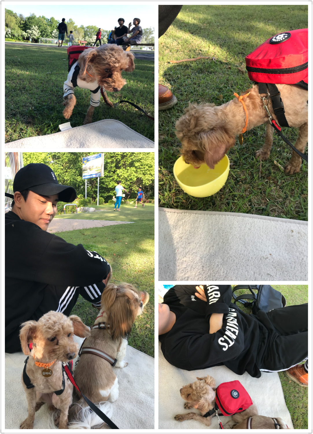 하리 3개월 후기 올려요^^