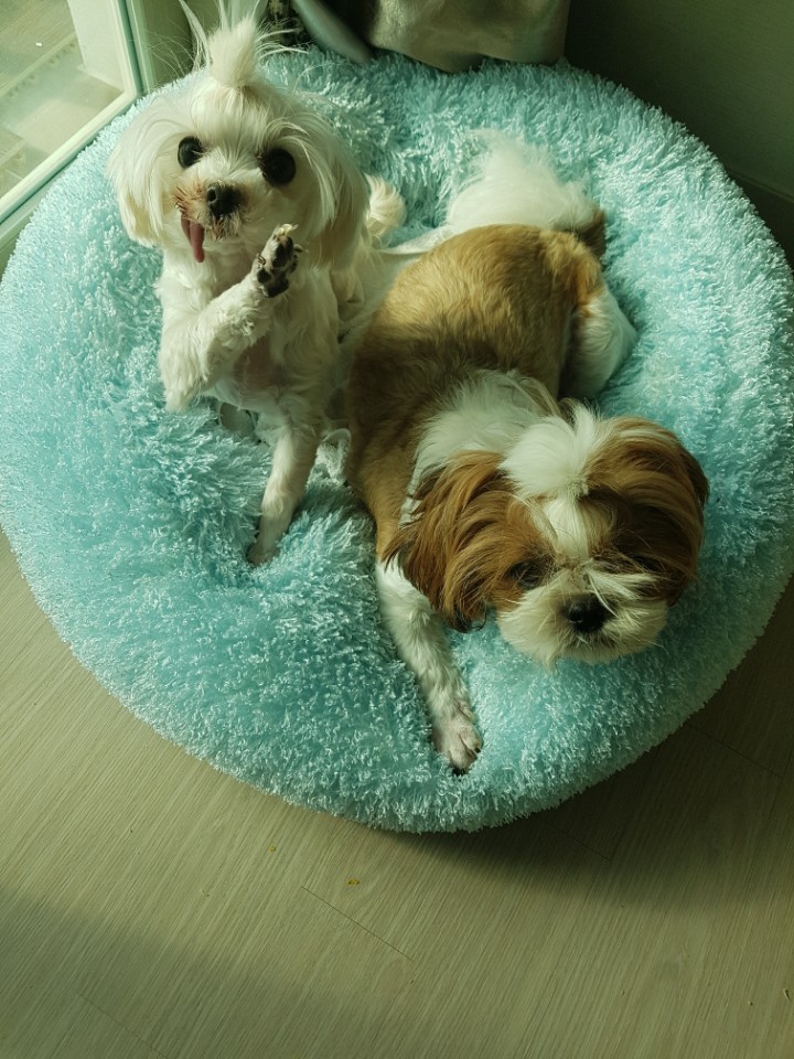 우리의 여덟번째 이야기^^