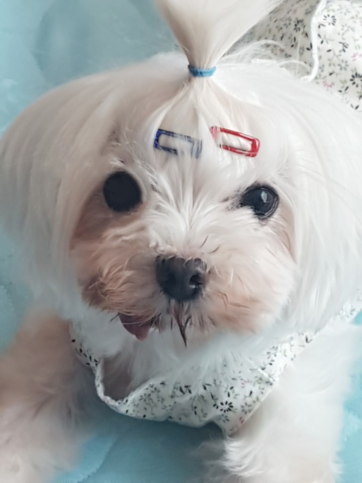 우리의 여덟번째 이야기^^