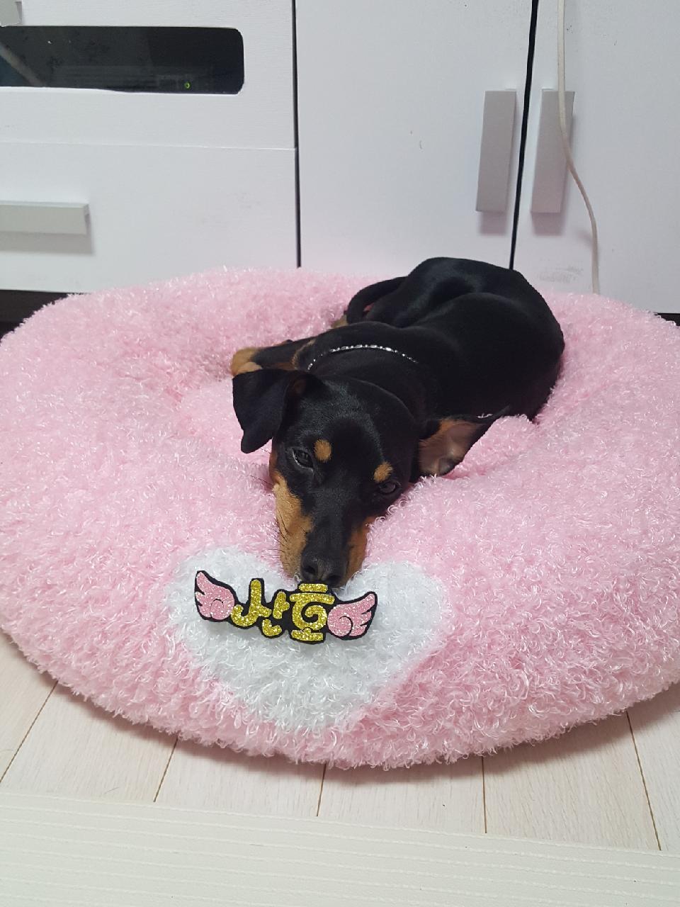 산호 입양후기 세번째 이야기~^^