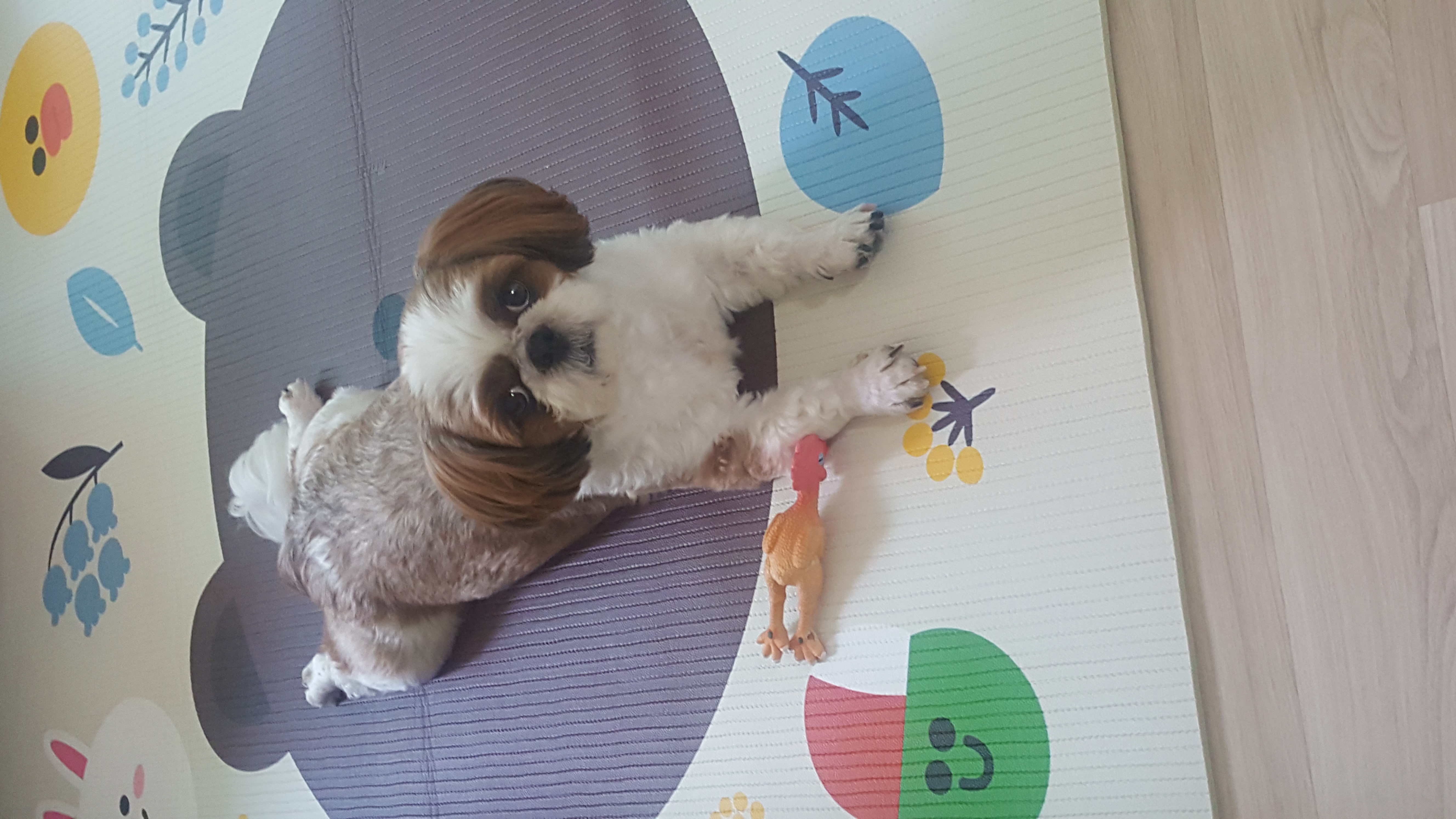 넘오랜만이예요^^;